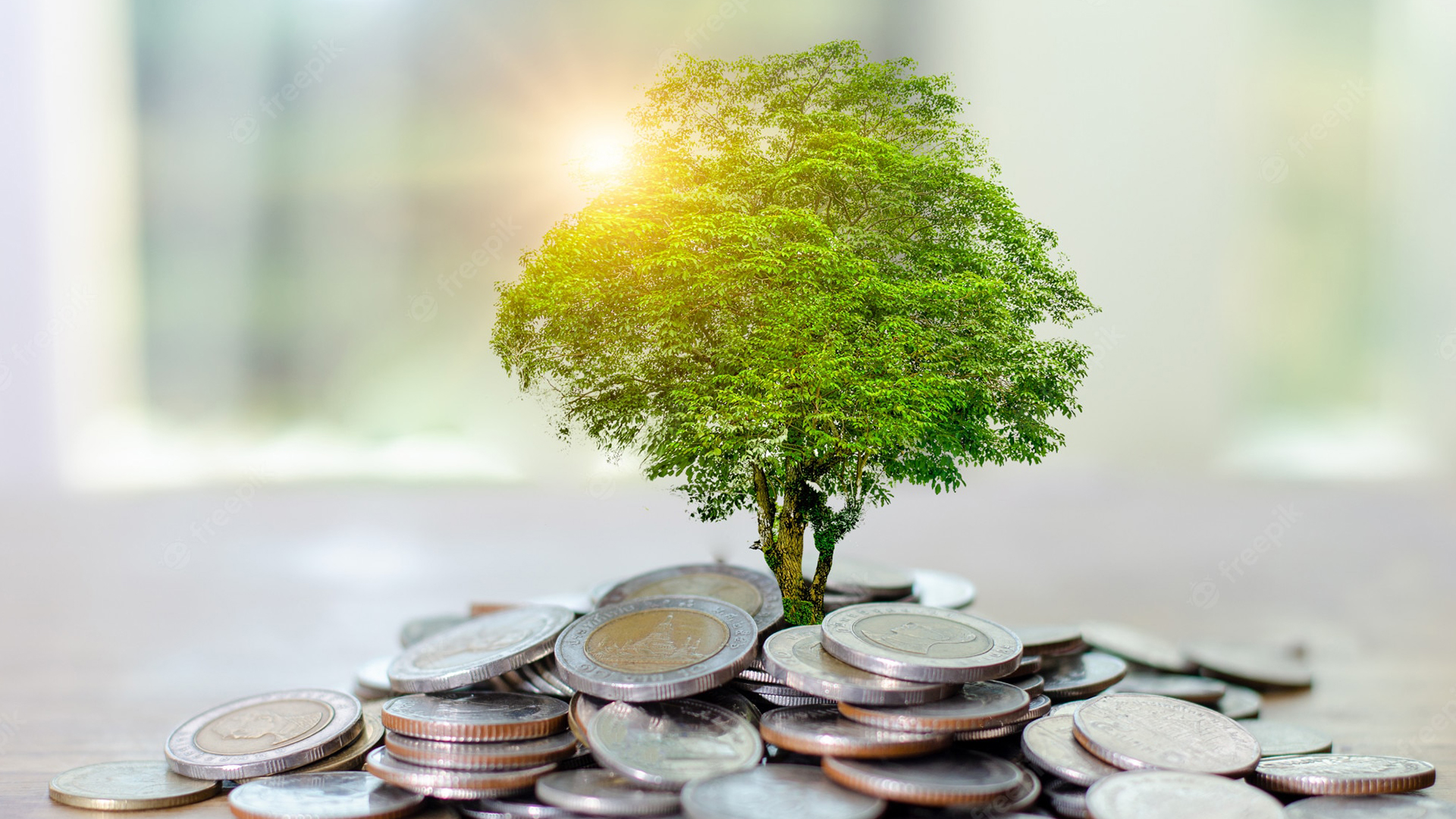 money-growth-saving-money_34998-244